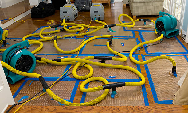 Professional Crawl Space Water Removal technician working in Lancaster, NH